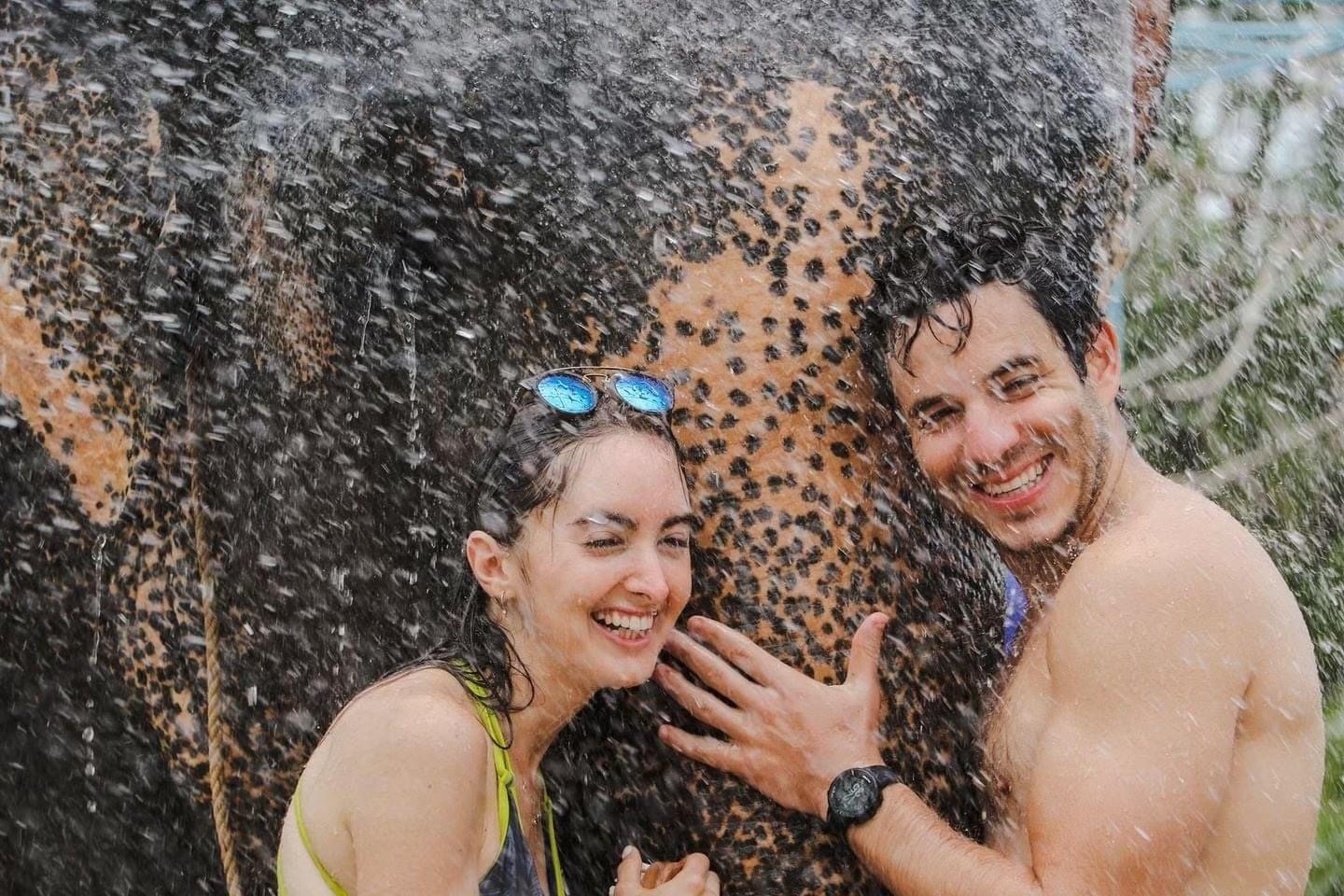 Elephant Feed and Shower Morning / Afternoon