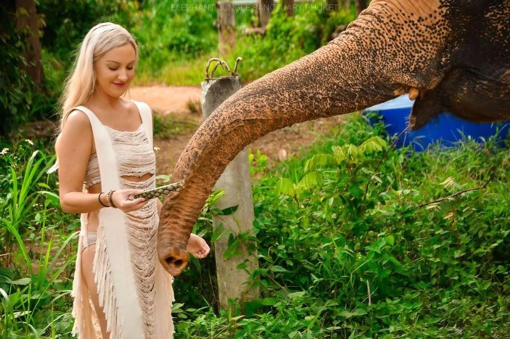 Elephant Feed and Shower Morning / Afternoon