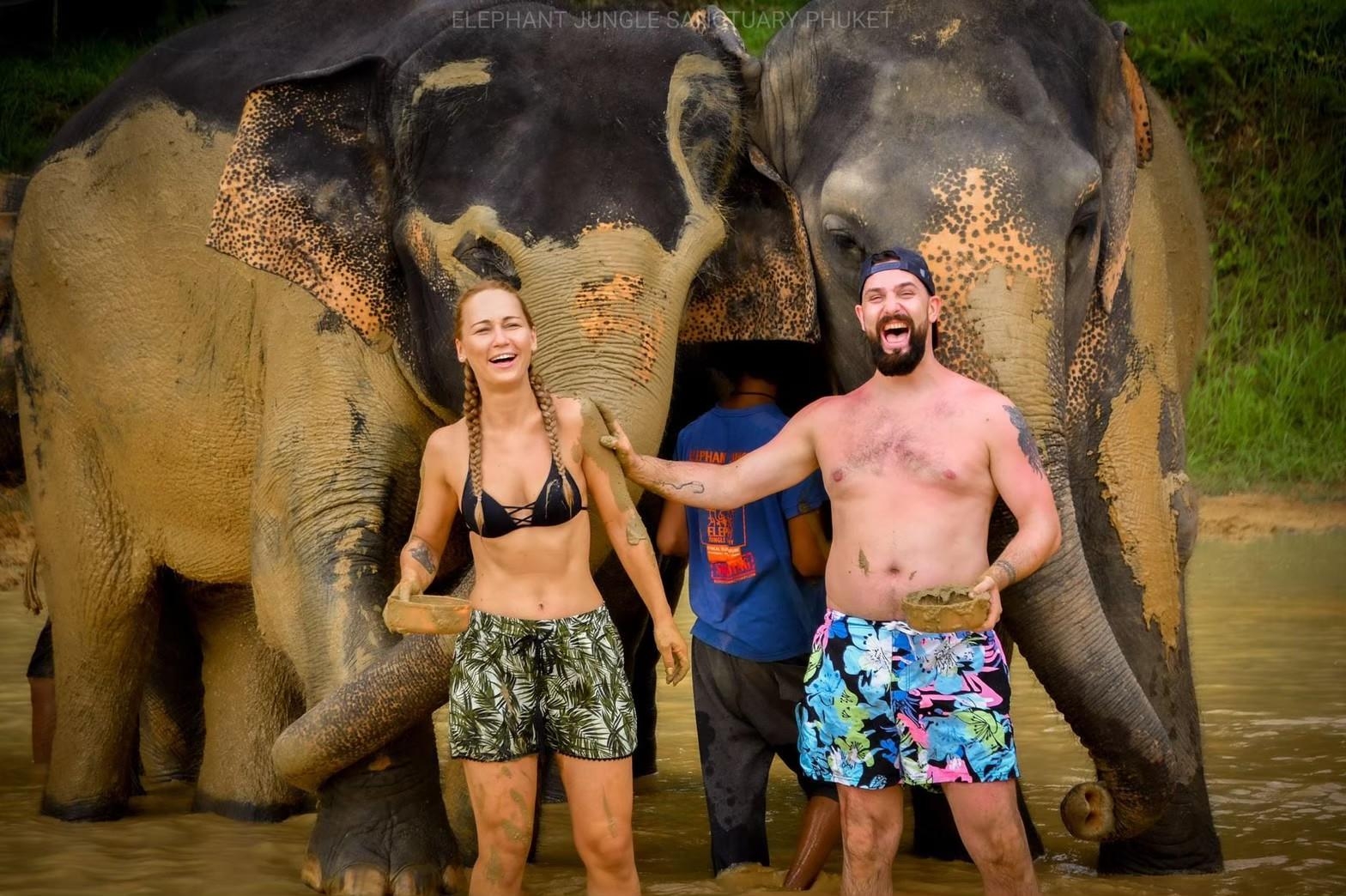 Elephant Half Day Morning / Afternoon