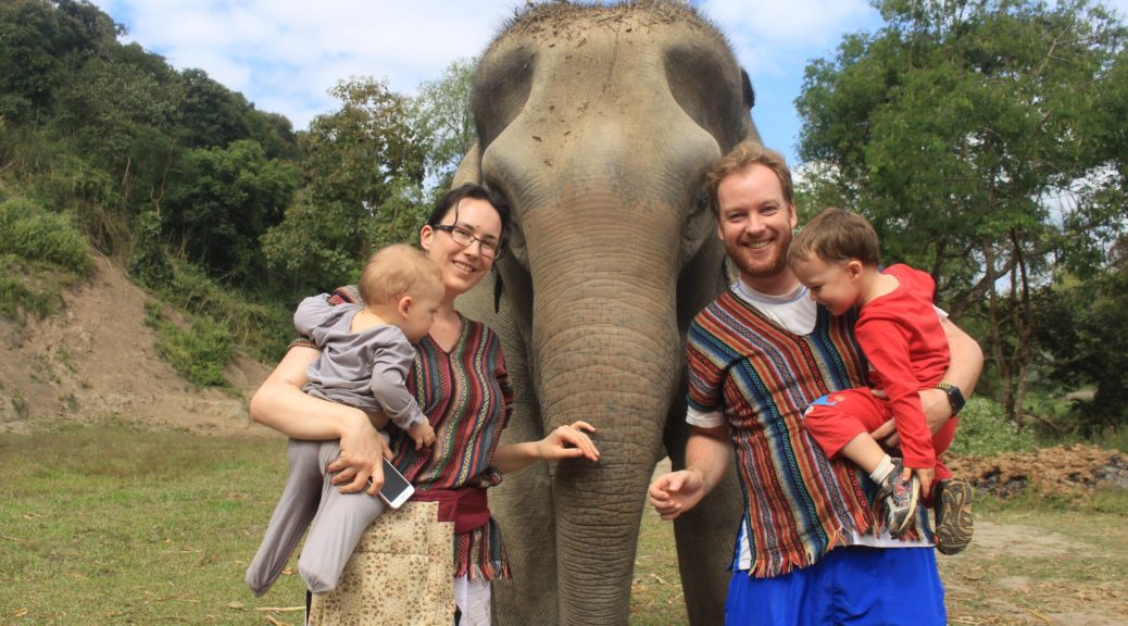 Elephant Phuket : 1 Day Walk With Elephant